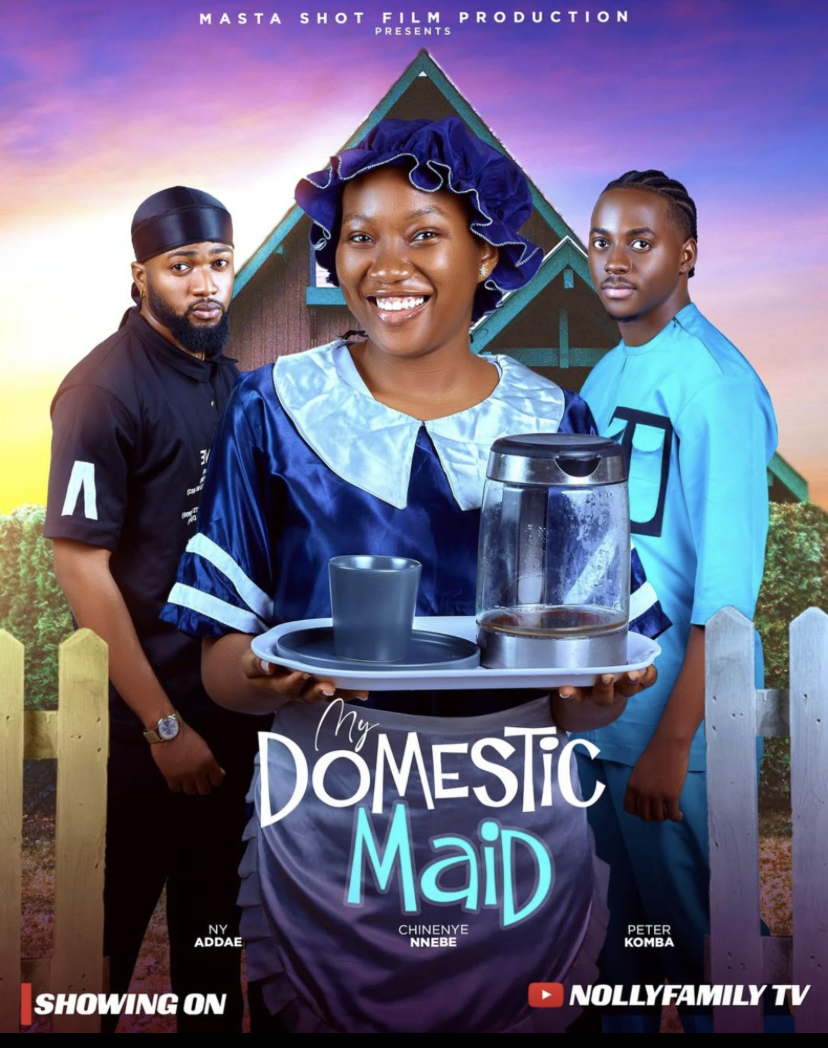 My Domestic Maid