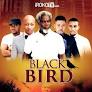 Black Bird